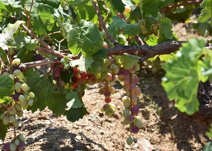 With Amazing Sea View