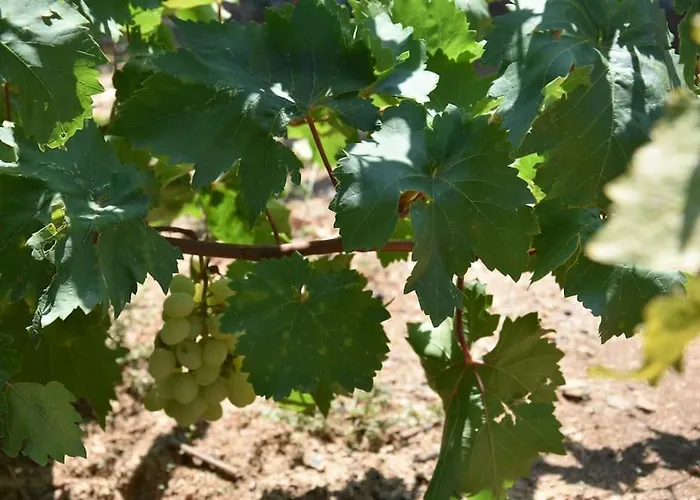 With Amazing Sea View